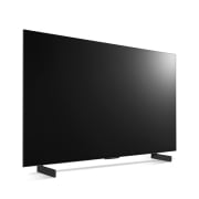 TV LG 올레드 evo (스탠드형) (OLED42C2KAS.AKRG) 썸네일이미지 5