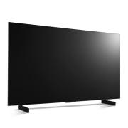 TV LG 올레드 evo (스탠드형) (OLED42C2KAS.AKRG) 썸네일이미지 6