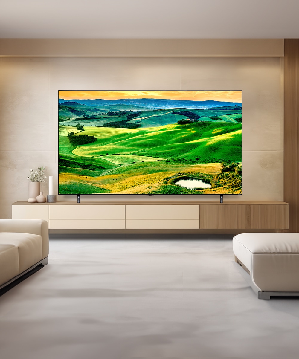 TV LG QNED TV (스탠드형) (86QNED80KQS.AKRG) 메인이미지 0