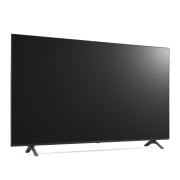 TV LG 울트라 HD TV (스탠드형) (65UQ9300KS.AKRG) 썸네일이미지 7