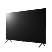 TV LG 올레드 TV (스탠드형) (OLED55A2KS.AKRG) 썸네일이미지 3