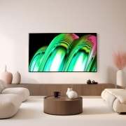 TV LG 올레드 TV (벽걸이형) (OLED55A2EW.AKRG) 썸네일이미지 0