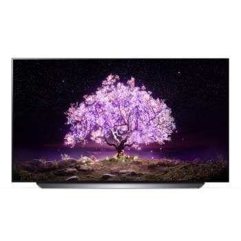 LG 올레드 TV (스탠드형)