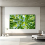 TV LG 울트라 HD TV (벽걸이형) (75UQ8300EW.AKRG) 썸네일이미지 0