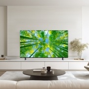 TV LG 울트라 HD TV (스탠드형) (55UQ8300ES.AKRG) 썸네일이미지 0