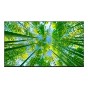 TV LG 울트라 HD TV (벽걸이형) (65UQ8300NW.AKRG) 썸네일이미지 1