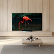 TV LG 올레드 evo (스탠드형) (OLED77C3SS.AKRG) 썸네일이미지 1