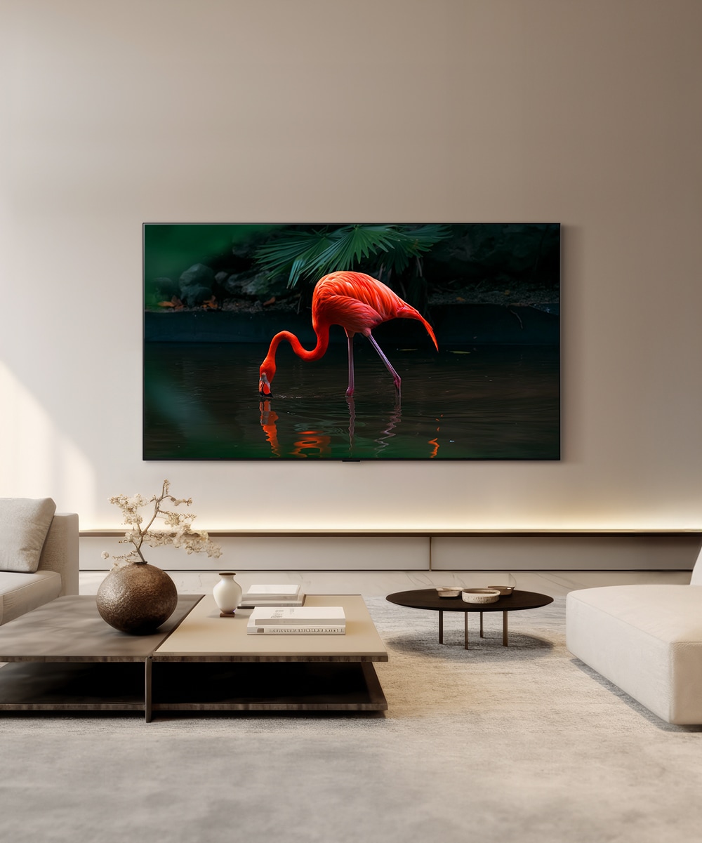 TV LG 올레드 evo (벽걸이형) (OLED77C3XW.AKRG) 메인이미지 0