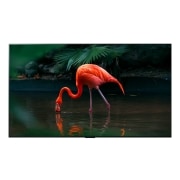 TV LG 올레드 evo (벽걸이형) (OLED77C3XW.AKRG) 썸네일이미지 2