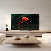 TV LG 올레드 evo (스탠드형) (OLED65C3SS.AKRG) 썸네일이미지 1