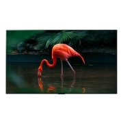 TV LG 올레드 evo (벽걸이형) (OLED65C3SW.AKRG) 썸네일이미지 2