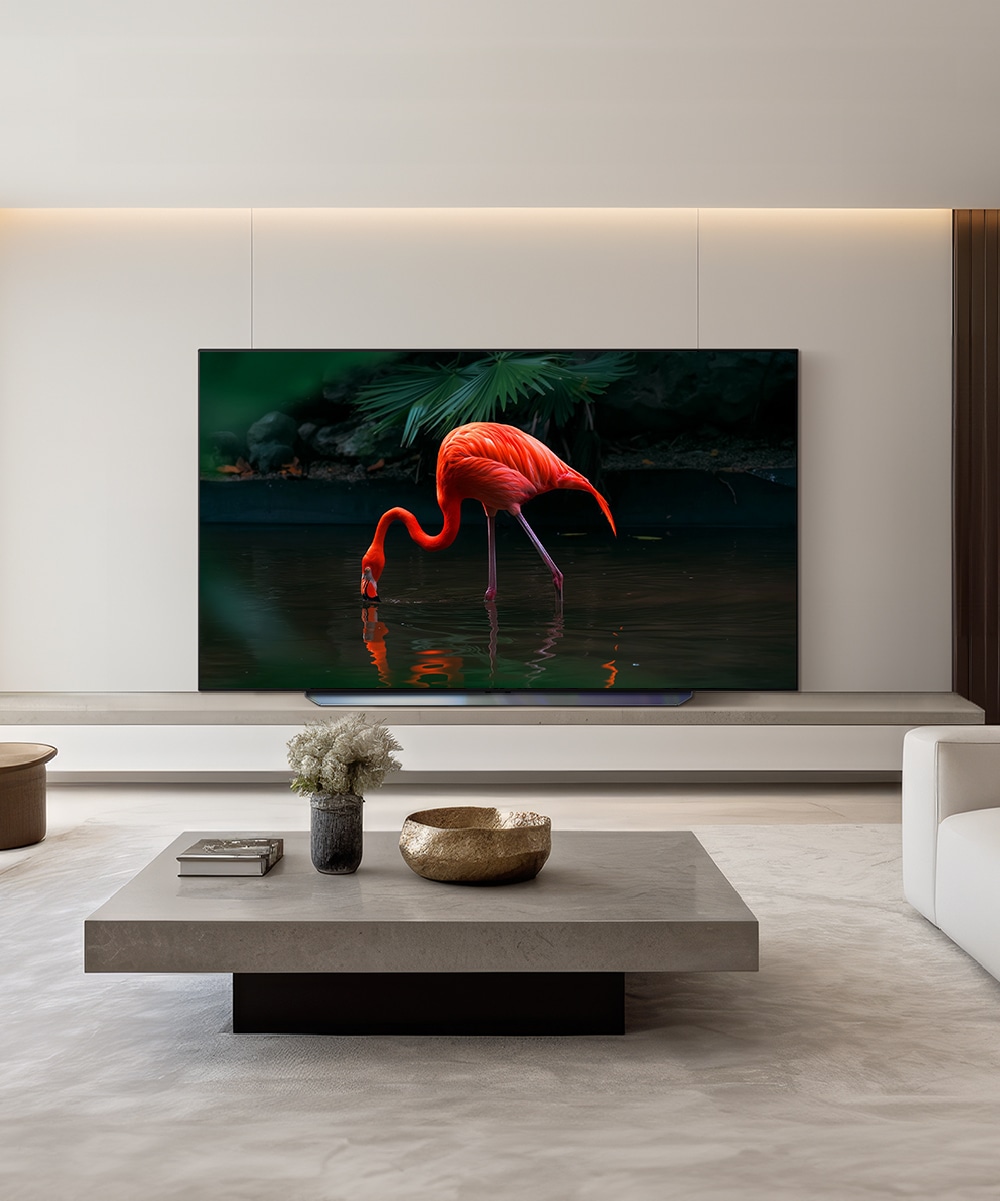 TV LG 올레드 evo (스탠드형) (OLED83C3QS.AKRG) 메인이미지 0