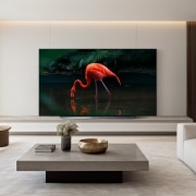 TV LG 올레드 evo (스탠드형) (OLED83C3QS.AKRG) 썸네일이미지 1