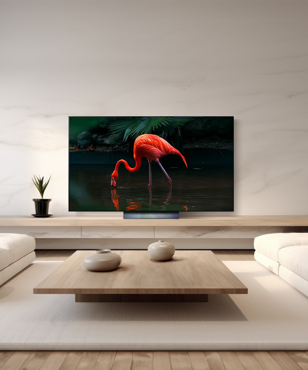 TV LG 올레드 evo (스탠드형) (OLED55C3SS.AKRG) 메인이미지 0