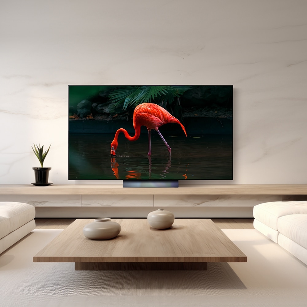 TV LG 올레드 evo (스탠드형) (OLED55C3SS.AKRG) 메인이미지 1