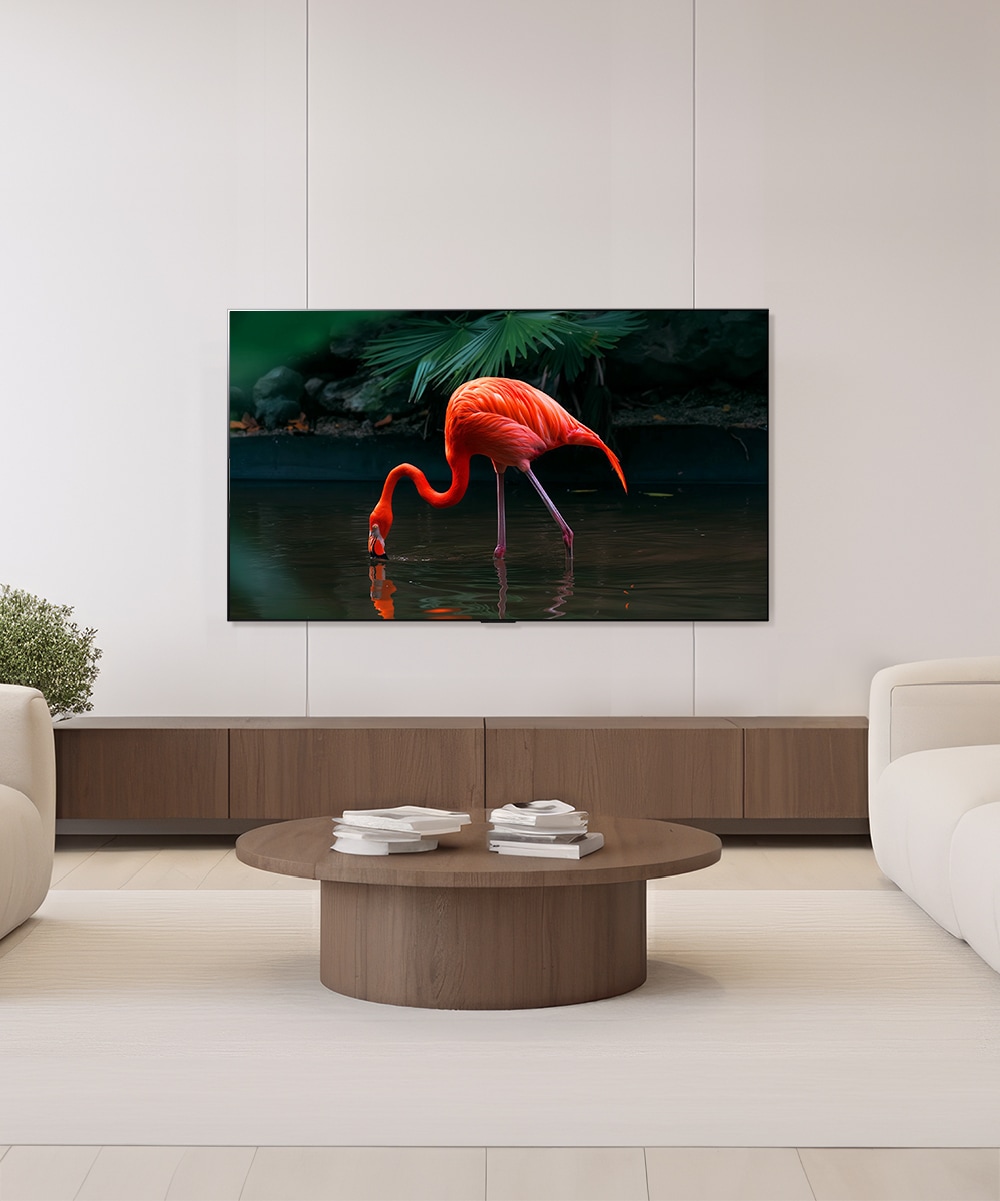 TV LG 올레드 evo (벽걸이형) (OLED55C3FW.AKRG) 메인이미지 0