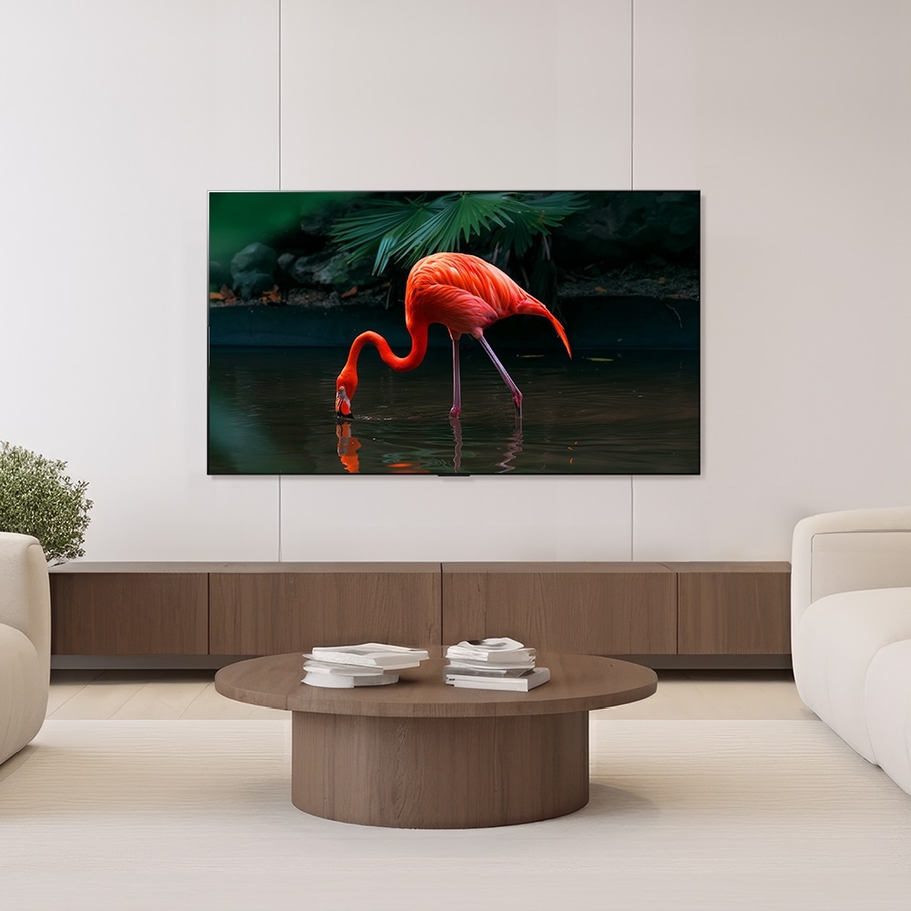 TV LG 올레드 evo (벽걸이형) (OLED55C3FW.AKRG) 메인이미지 1