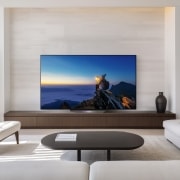 TV LG 올레드 TV (스탠드형) (OLED55B3NS.AKRG) 썸네일이미지 1