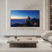 TV LG 올레드 TV (벽걸이형) (OLED55B3NW.AKRG) 썸네일이미지 1
