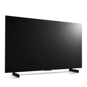 TV LG 올레드 evo (스탠드형) (OLED42C3ES.AKRG) 썸네일이미지 7