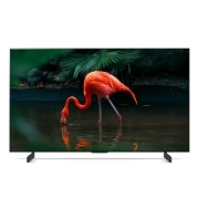 TV LG 올레드 evo (스탠드형) (OLED42C3KS.AKRG) 썸네일이미지 2
