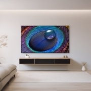 TV LG 울트라 HD TV (벽걸이형) (75UR9300KW.AKRG) 썸네일이미지 0