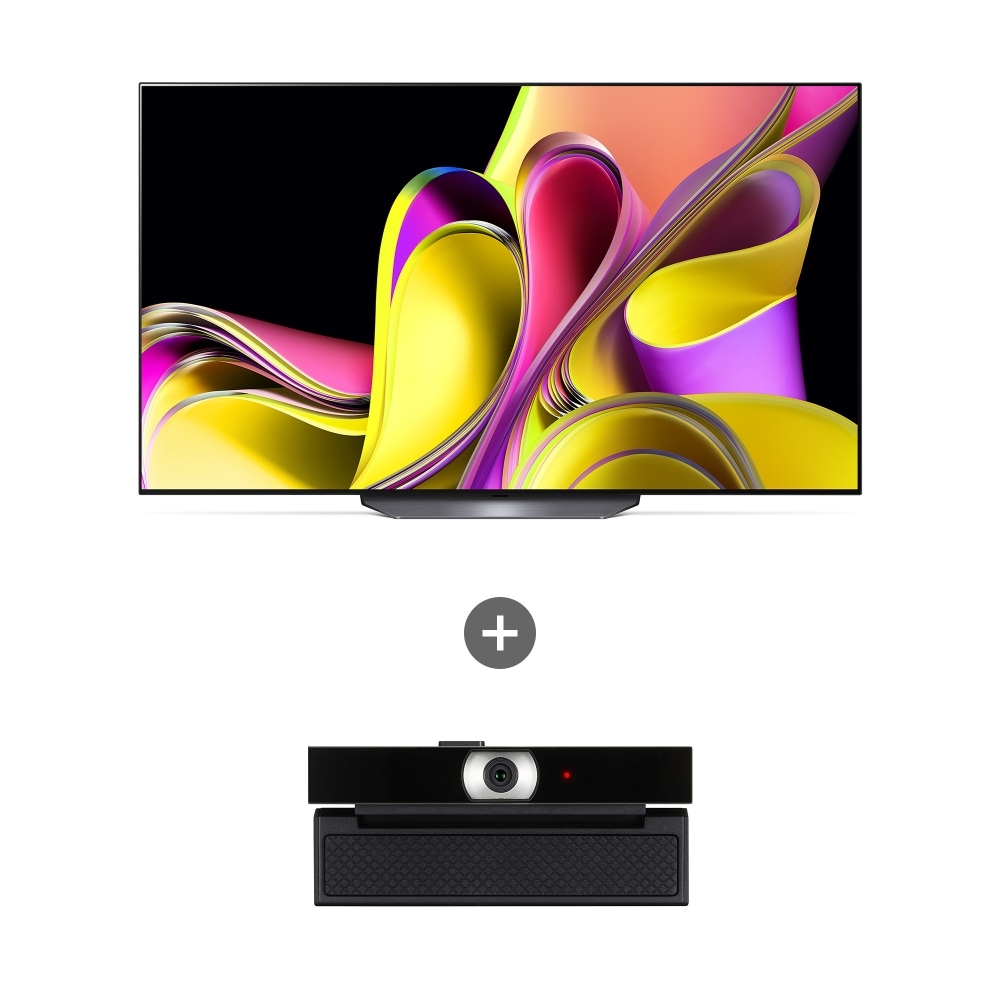 TV LG 올레드 TV (스탠드형) + LG 스마트 캠  (OLED65B3NSC.AKRG) 메인이미지 0