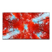 TV LG 울트라 HD TV (벽걸이형) (43UQ93RCW.AKRD) 썸네일이미지 2