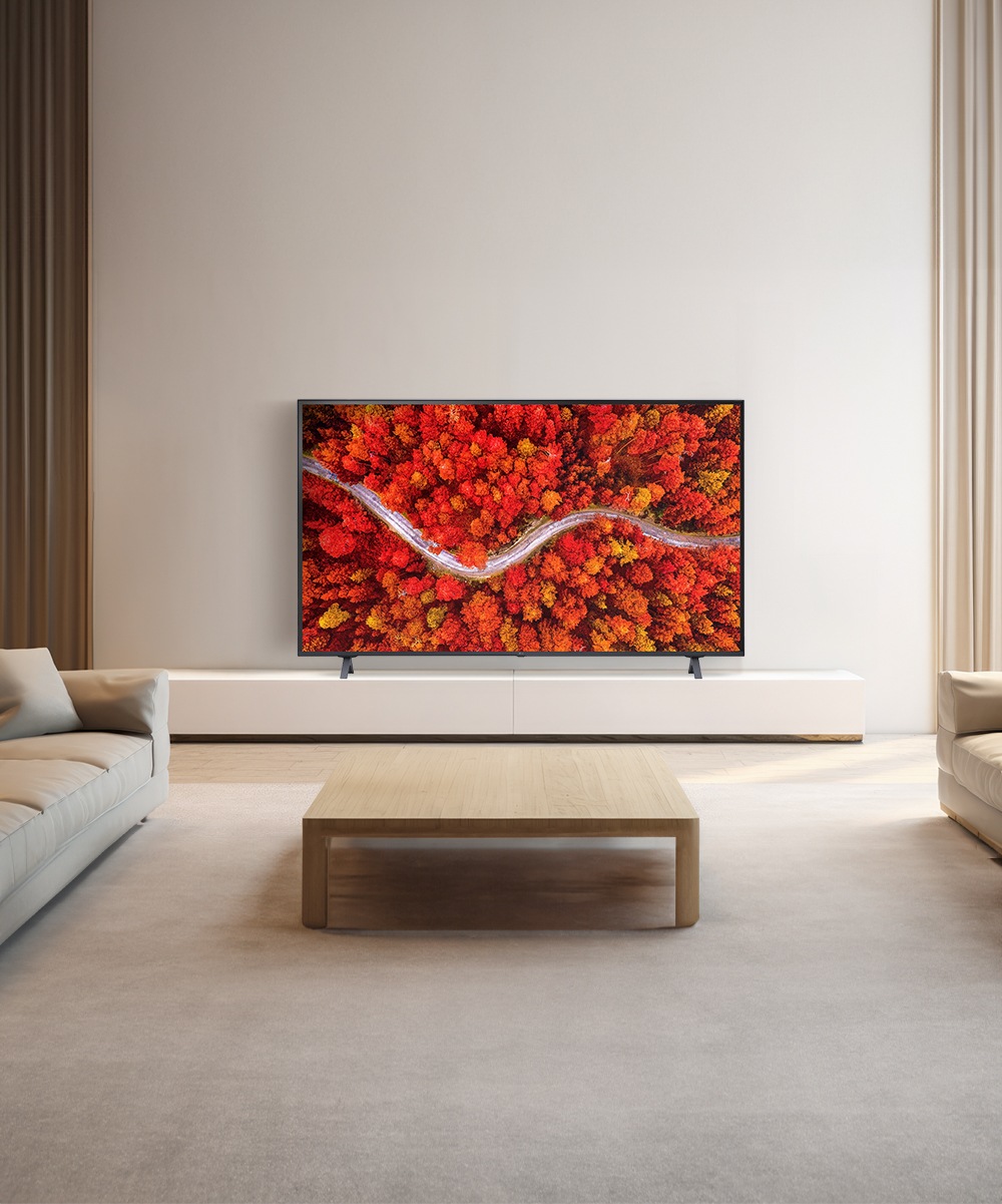 TV LG 울트라 HD TV (스탠드형) (50UR642SS.AKRD) 메인이미지 0