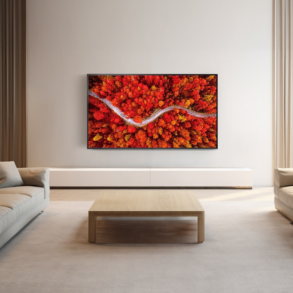 TV LG 울트라 HD TV (벽걸이형) (65UR642SW.AKRD) 메인이미지 0