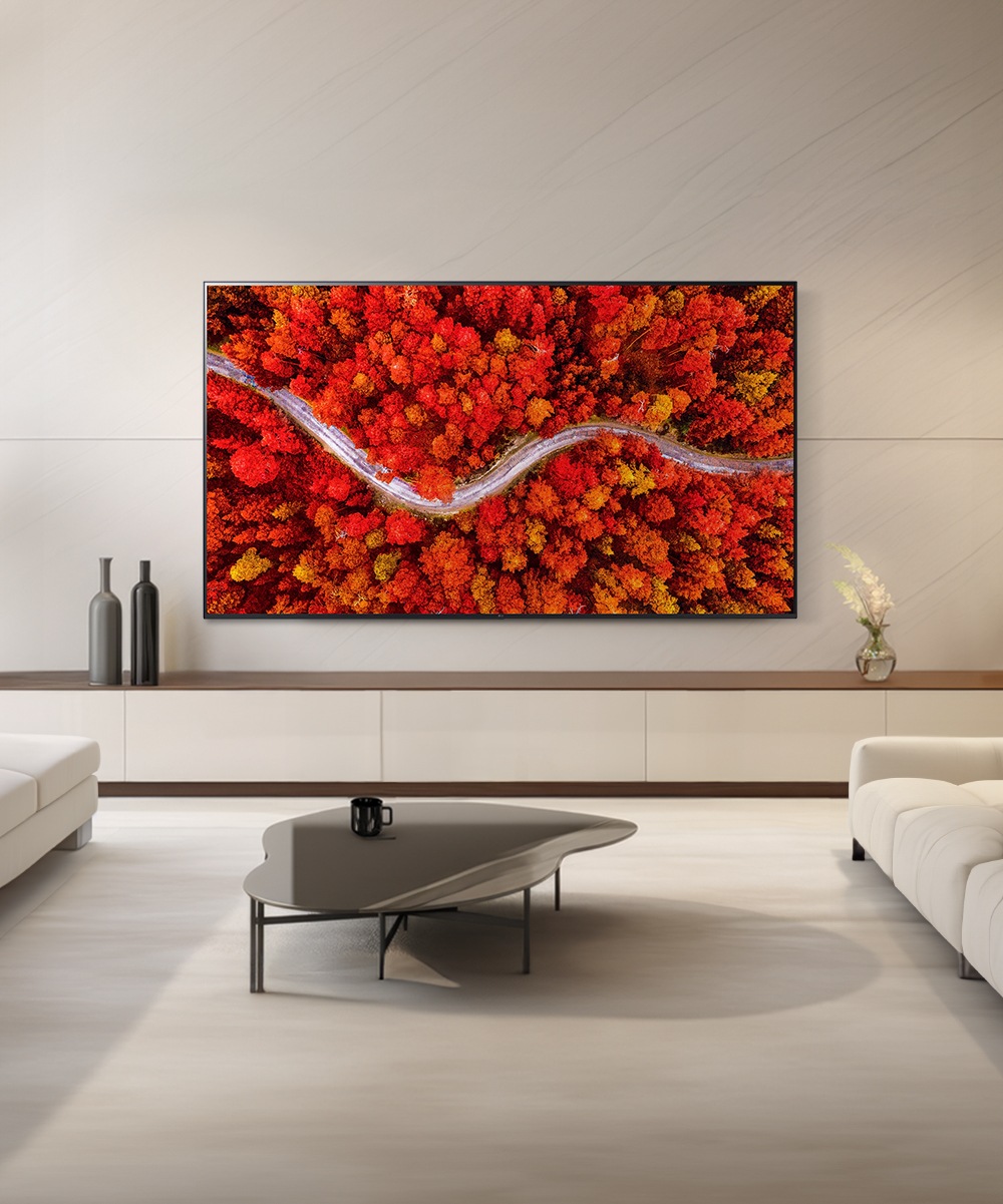 TV LG 울트라 HD TV (벽걸이형) (75UR642SW.AKRD) 메인이미지 0
