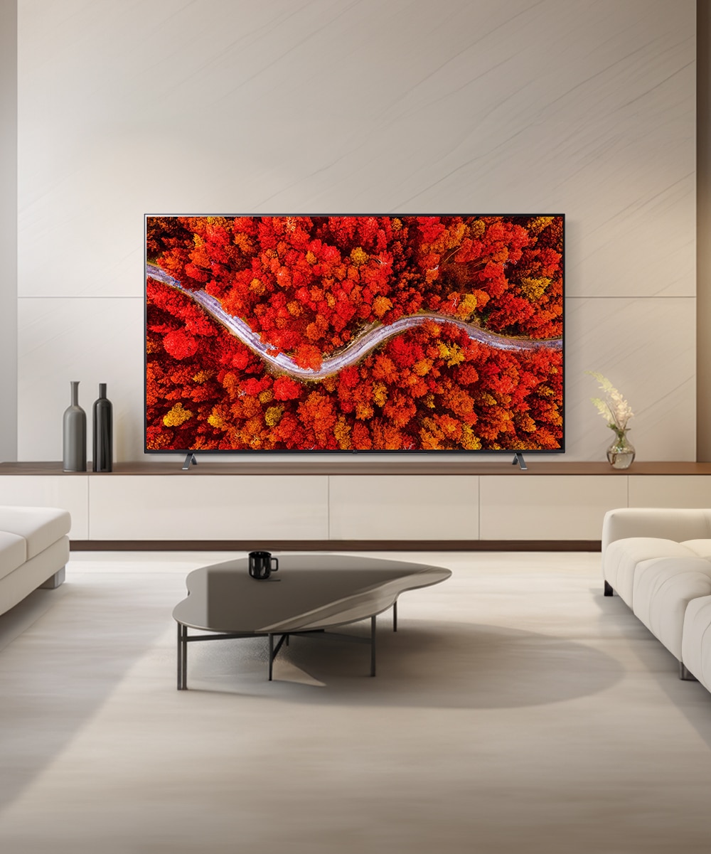 TV LG 울트라 HD TV (스탠드형) (86UR642SS.AKRD) 메인이미지 0