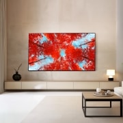 TV LG 울트라 HD TV (벽걸이형) (86UQ9300KW.AKRG) 썸네일이미지 1