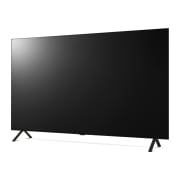 TV LG 올레드 TV (스탠드형) (OLED55B4KS.AKRG) 썸네일이미지 2