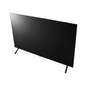 TV LG 올레드 TV (스탠드형) (OLED55B4KS.AKRG) 썸네일이미지 12