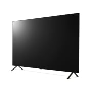 TV LG 올레드 TV (스탠드형) (OLED48B4NS.AKRG) 썸네일이미지 6