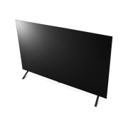 TV LG 올레드 TV (스탠드형) (OLED65B4SS.AKRG) 썸네일이미지 12