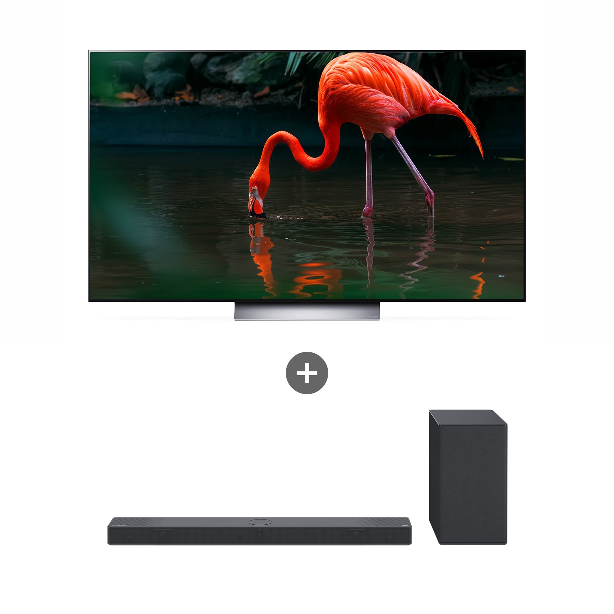 TV LG 올레드 evo (스탠드형) + LG 사운드바   (OLED77C3XNA.ASC9S) 줌이미지 1