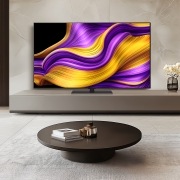 TV LG 올레드 evo (스탠드형) (OLED65G5KS.AKRG) 썸네일이미지 1