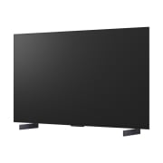 TV LG 올레드 evo (스탠드형) (OLED42C5KS.AKRG) 썸네일이미지 9
