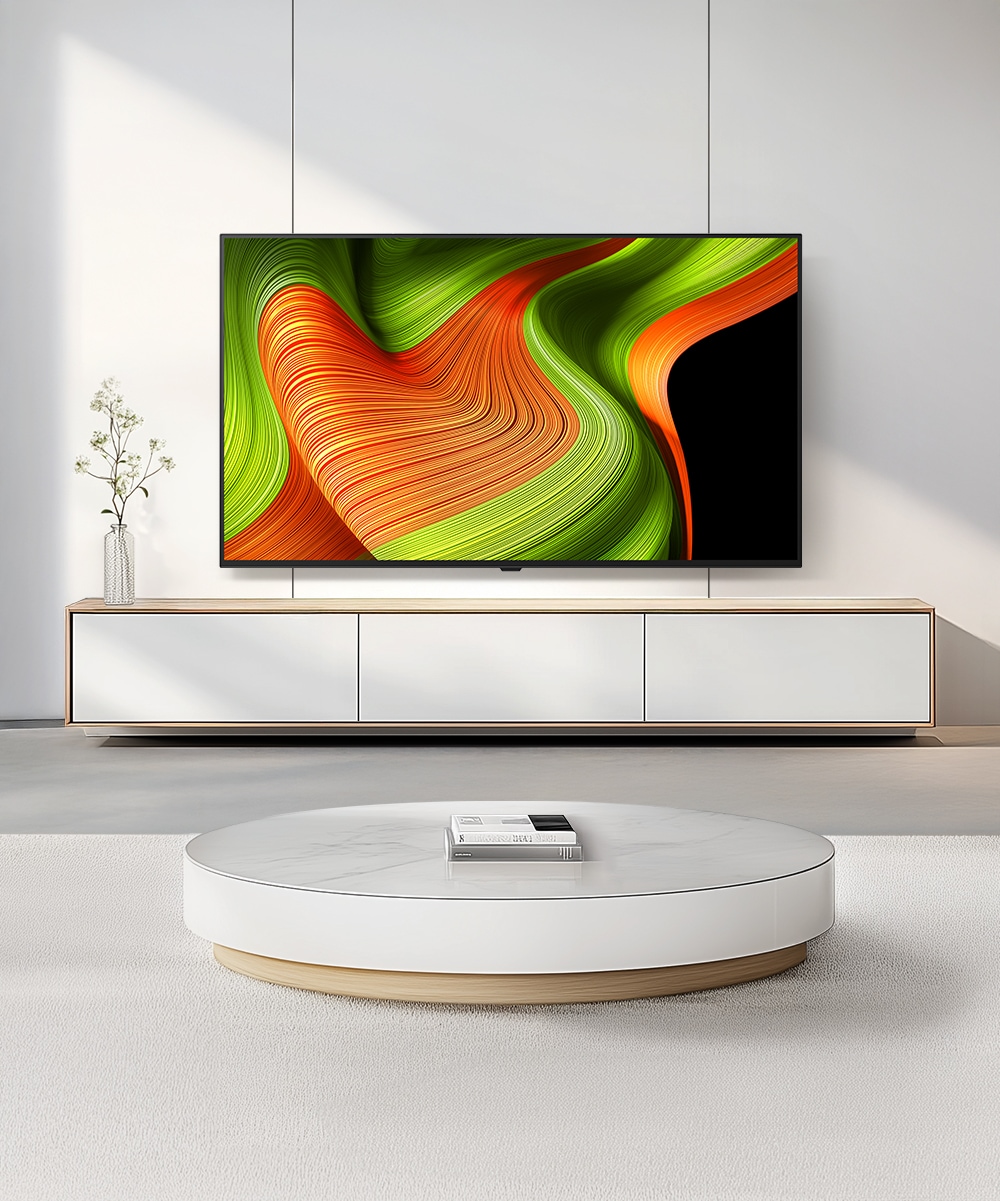 TV LG 올레드 (벽걸이형) (OLED48B5KW.AKRG) 메인이미지 0