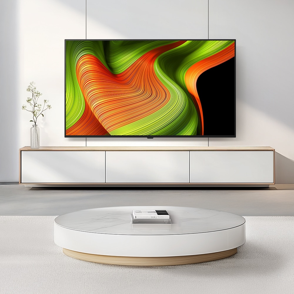 TV LG 올레드 (벽걸이형) (OLED48B5KW.AKRG) 메인이미지 1