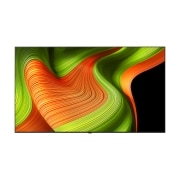 TV LG 올레드 (벽걸이형) (OLED77B5SW.AKRG) 썸네일이미지 0