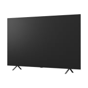 TV LG 올레드 (스탠드형) (OLED65B5SS.AKRG) 썸네일이미지 9