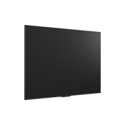 TV LG QNED evo (벽걸이형) (75QNED9MAKW.AKRG) 썸네일이미지 8