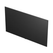 TV LG QNED AI (벽걸이형) (55QNED75AEW.AKRG) 썸네일이미지 10