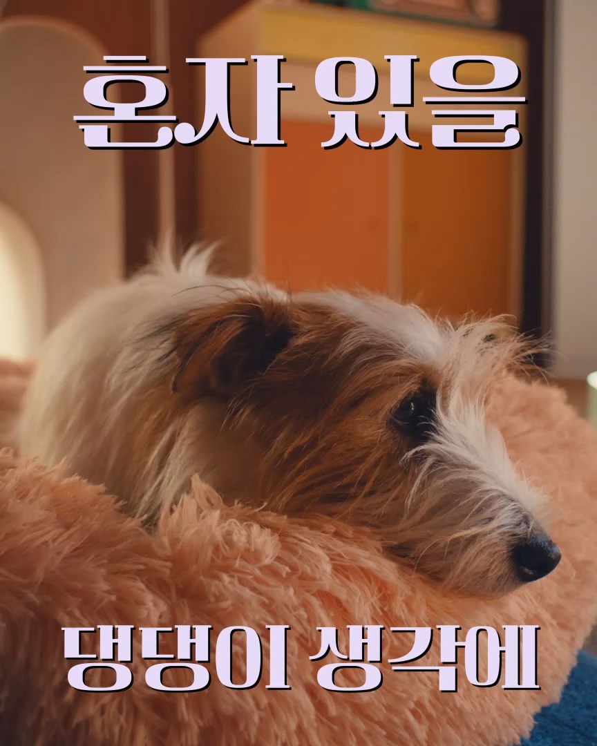 라이프 스타일 이미지