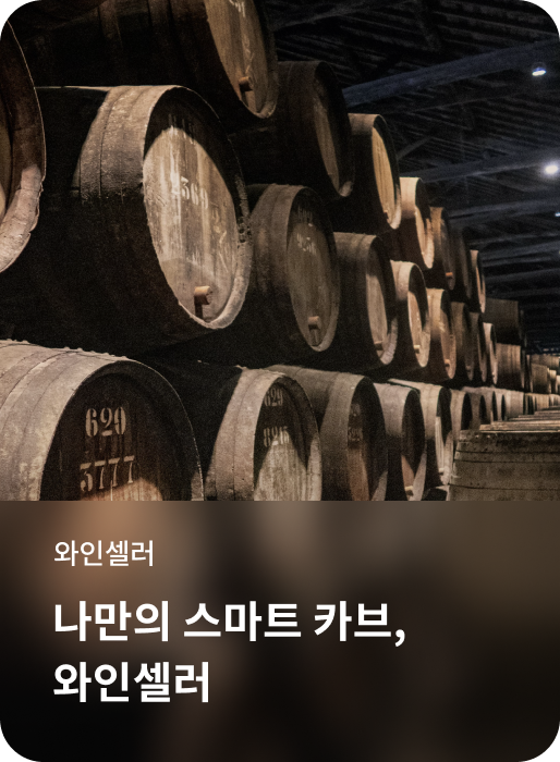 나만의 스마트 카브, 와인셀러 소개하는 이미지