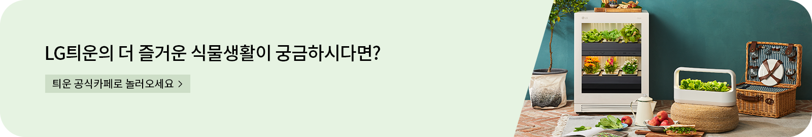 틔운카페배너