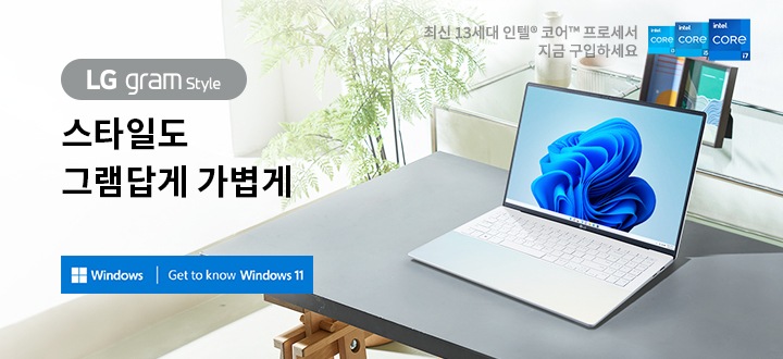 Windows 11